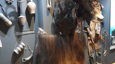 Magický Himaláj 8. B